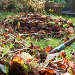 de-erfarne-gartneres-hemmelighed-saadan-laver-du-goedning-af-nedfaldne.webp.webp